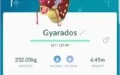 Conta Pokémon Go Lv 30 Time Azul - Ho-Oh 100% + Cães + Shiny