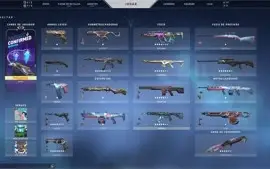 CONTA VALORANT MUITAS SKINS - 1,1K Gastos