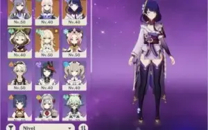 Ar35. Raiden shogun, kokomi e keqing