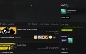 Steam 16 anos + Prime CSGO
