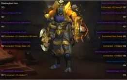 Conta World of Warcraft Shadowlands