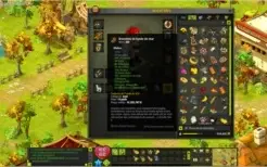 CONTA DOFUS  FECA 200 COM SET (FULL EXOS) PARA PVP E PVM.