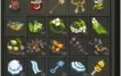 Conta Dofus MonoConta + Wakfu