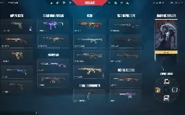 Conta De Valorant Full Acesso Com Skins / +1000R$ Gastos
