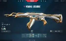 Conta De Valorant Full Acesso Com Skins / +1000R$ Gastos