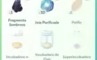 Conta 47 Perfeita!