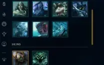Conta League of Legends Full Acesso - 48 Skins - Rammus REI