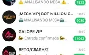 Pack 40 Grupos Vip Blaze - Outros