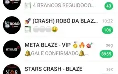Pack 40 Grupos Vip Blaze - Outros