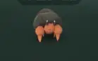 Pokestop Pokeparada Pokemon go