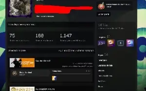 Conta Cs2 Com 11 Medalhas, Level 19 Gc, Cod Bo3, Gta, Fifa 2
