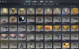 Conta Cs2 Com 11 Medalhas, Level 19 Gc, Cod Bo3, Gta, Fifa 2