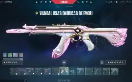 Conta De Valorant Fa | Karambit Saqueadora + Vandal Evori +