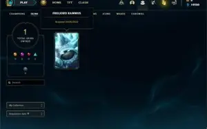 Conta Platina 4 Com 20 Champs e 1 Skin ( No servidor N.A )