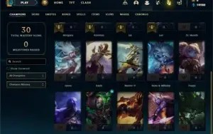 Conta Platina 4 Com 20 Champs e 1 Skin ( No servidor N.A )