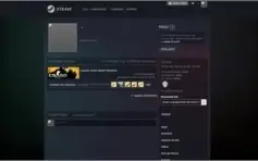 CONTA CS GO - LVL 15 GC