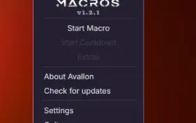 Throne and Liberty | Macro & Cooldown Skills