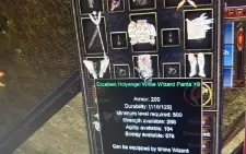 Mu Online Luminous Wizard 800 lvl Midgard