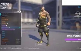 OVERWATCH 2 - 51 visual lendário + HEARTHSTONE 78 lendárias