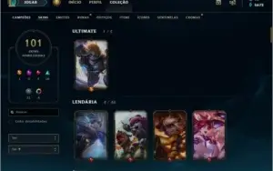 +100 SKINS, QUASE FULL CHAMP