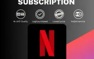 Netflix Account - 1 Month - 1 Private Profile - Premium