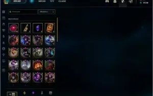 Todos os campeões e 155 skins.