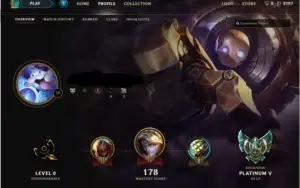 Conta PLATINA V  31 CHAMPS