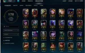 Conta PLATINA V  31 CHAMPS