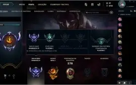 D4 LVL213 SKINS148 CHAMPS138