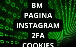Perfis de alta qualidade com BM inclusa