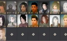 Black Desert Valk Succ 5 PENs, T8 Corcel 14 Cliques