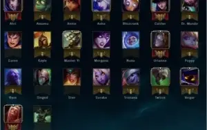 CONTA D1