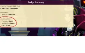 lvl 100,4x(10k chest),+4 donated, 180 bag space,+hardfarms