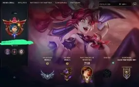 Conta Riot Full Champs E Agentes + Skins