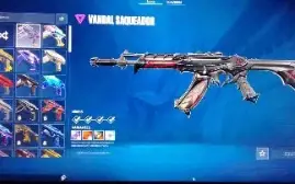 Conta Riot Full Champs E Agentes + Skins