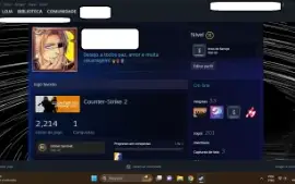 Conta Steam - pessoal único dono!