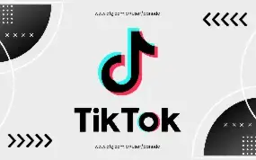 1K Seguidores TikTok - Com Reposição