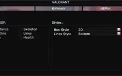 Valorant Cheat apenas ESP