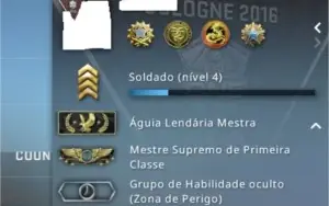 Conta Cs:Go 3k de hrs+
