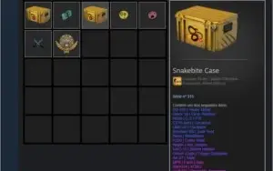 CONTA AK CRUZADA CSGO (PODE ADICIONAR AMIGOS) 2 ANOS SERVIÇO
