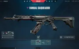 Conta de valorant platina 3