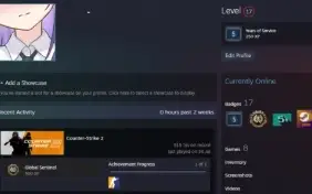 Conta Steam Lvl 17 C/ Jogos + Cs2 Prime + Medalha De 5 Anos