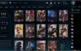 Conta 530 Skins raras