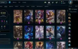 Conta 530 Skins raras