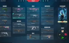 Vendo Conta De Valorant (Somente 1 Dono)