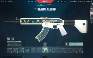 Conta Valorant Várias Skins (Full Acesso) - Lv 122