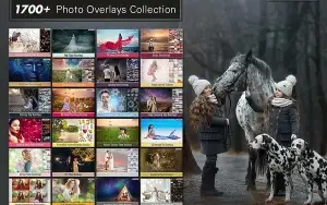 1700 + Smart Overlays