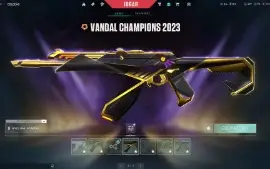 CONTA VALORANT IMT 1 (1000 reais gastos)