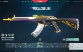 Conta  De Valorant Fa Varias Skins Raras