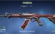 Conta valorant dima/plat FACA e SKINS raras
